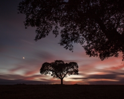 Foto Ricardo Zambujo - 3.º Lugar no concurso Noites ao Luar 2016