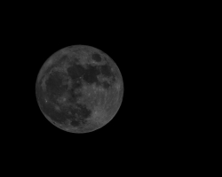 Armando Morais - Noites ao Luar 2016