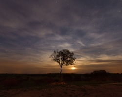 Ricardo Zambujo - Noites ao Luar 2016